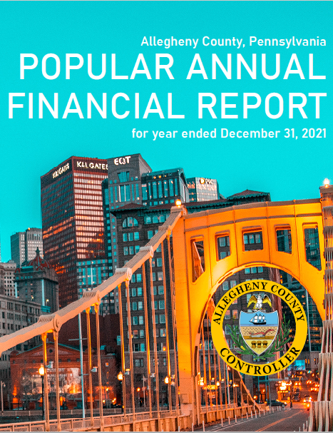 Annual Finance Report